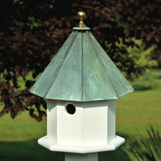 Bird House - Oct-Avian