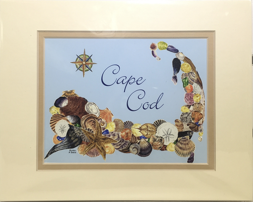 Print - 8x10 - Cape Cod Shells Blue "Cape Cod" - Tan Matte