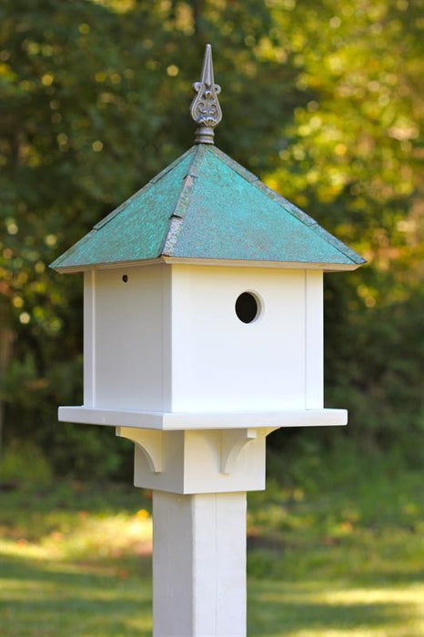 Bird House - Skybox