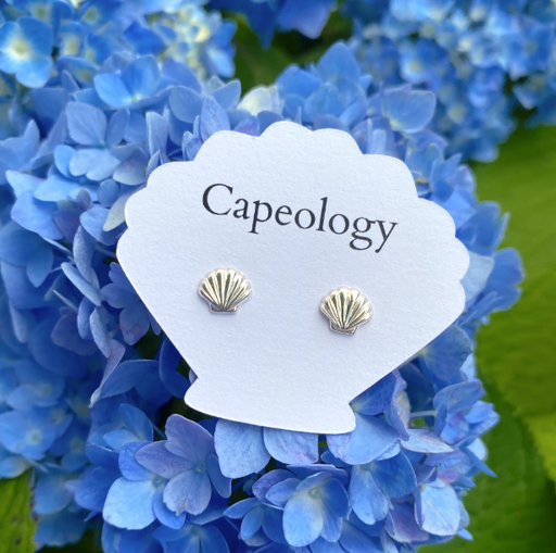 Earrings - Silver Seashell Stud - CPGY