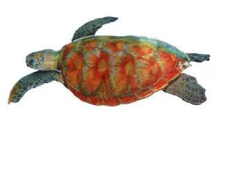 Sea Turtle - NI