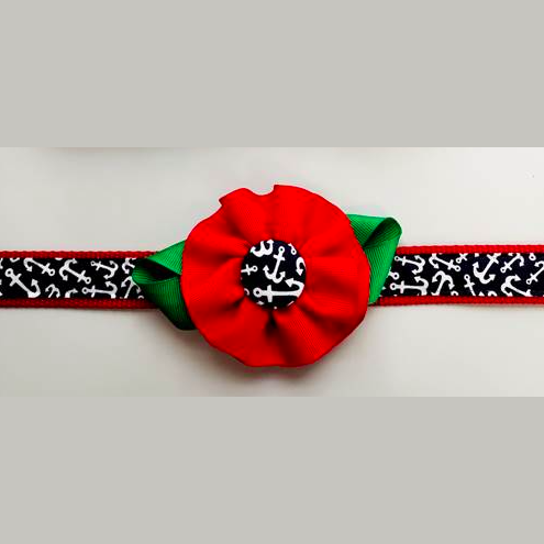 Pet Collars